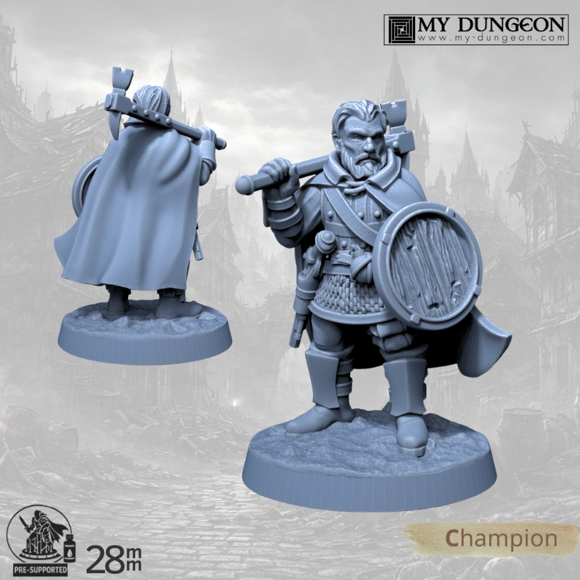 Champion – Warhammer & Shield